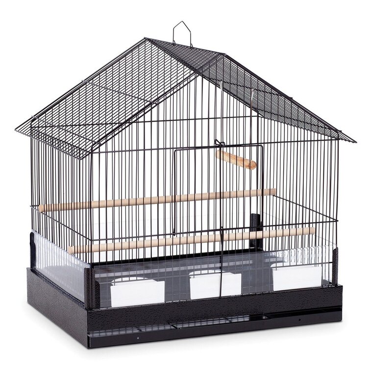 Hanging store budgie cage